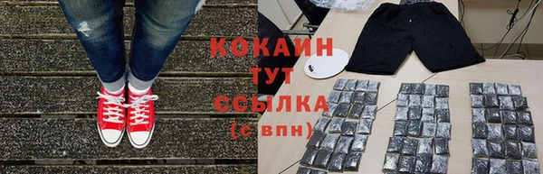 бошки Пересвет