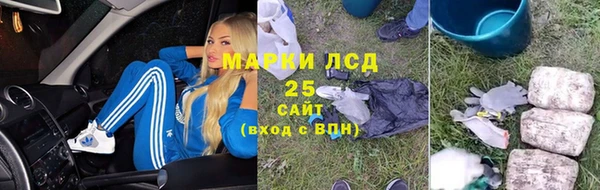 шишки Переславль-Залесский