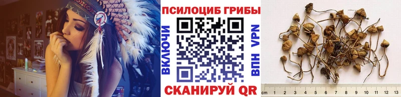 Псилоцибиновые грибы MAGIC MUSHROOMS  Шуя 